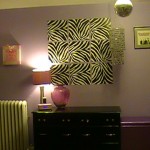 Tween Decor idea with black and white zebra decals