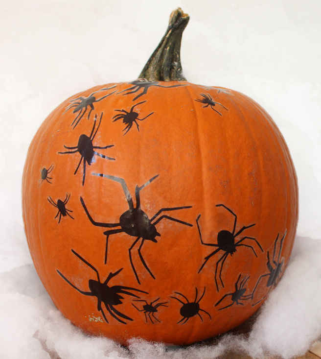 spider_pumpkinblog