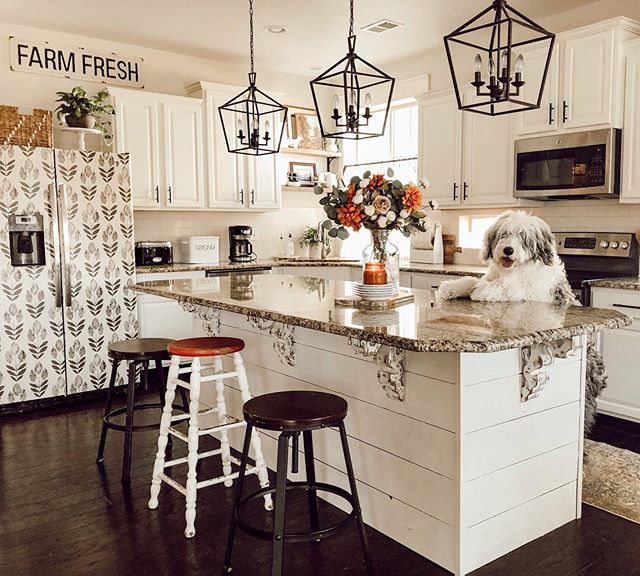 Gothic Kitchen - Photos & Ideas